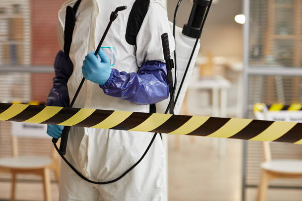 Professional Sewage Cleanup technician working in Albion, IL
